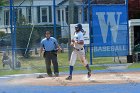 Baseball vs Babson  Wheaton College Baseball vs Babson during Championship game of the NEWMAC Championship hosted by Wheaton. - (Photo by Keith Nordstrom) : Wheaton, baseball, NEWMAC
